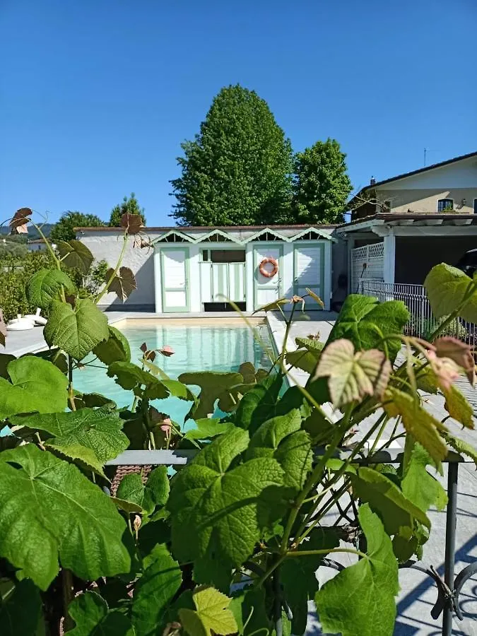 La Pitorina Holidayhome Camaiore